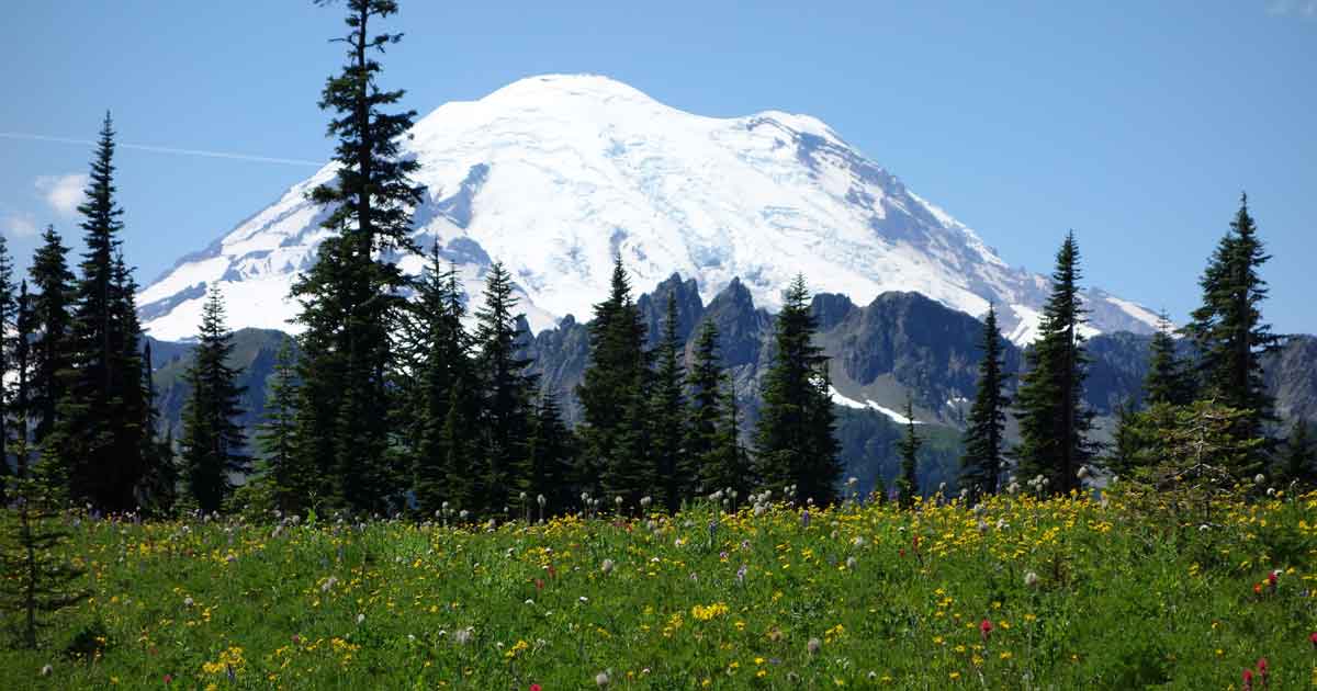 escape-to-these-national-parks-MtRainier