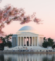 DC Is in Full Bloom with Pride and Petals This Spring