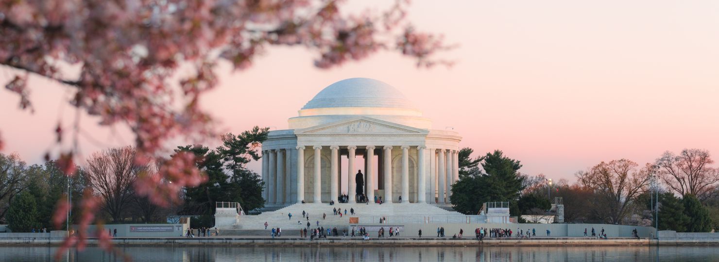 DC Is in Full Bloom with Pride and Petals This Spring