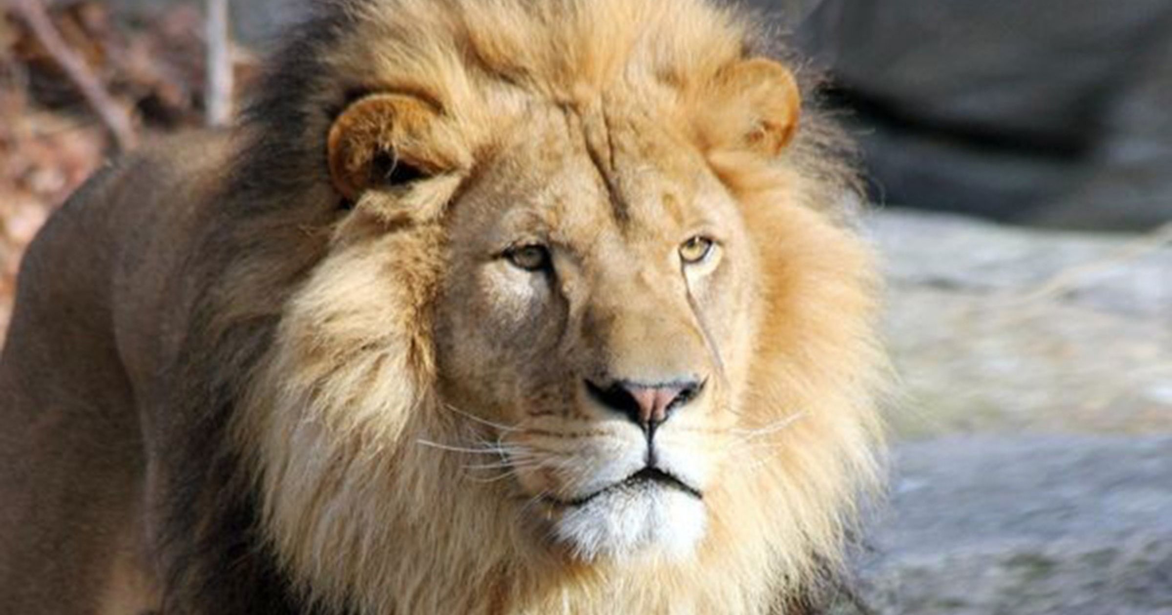 Beyond the City: Why MetroWest Boston Belongs on Your Group Itinerary