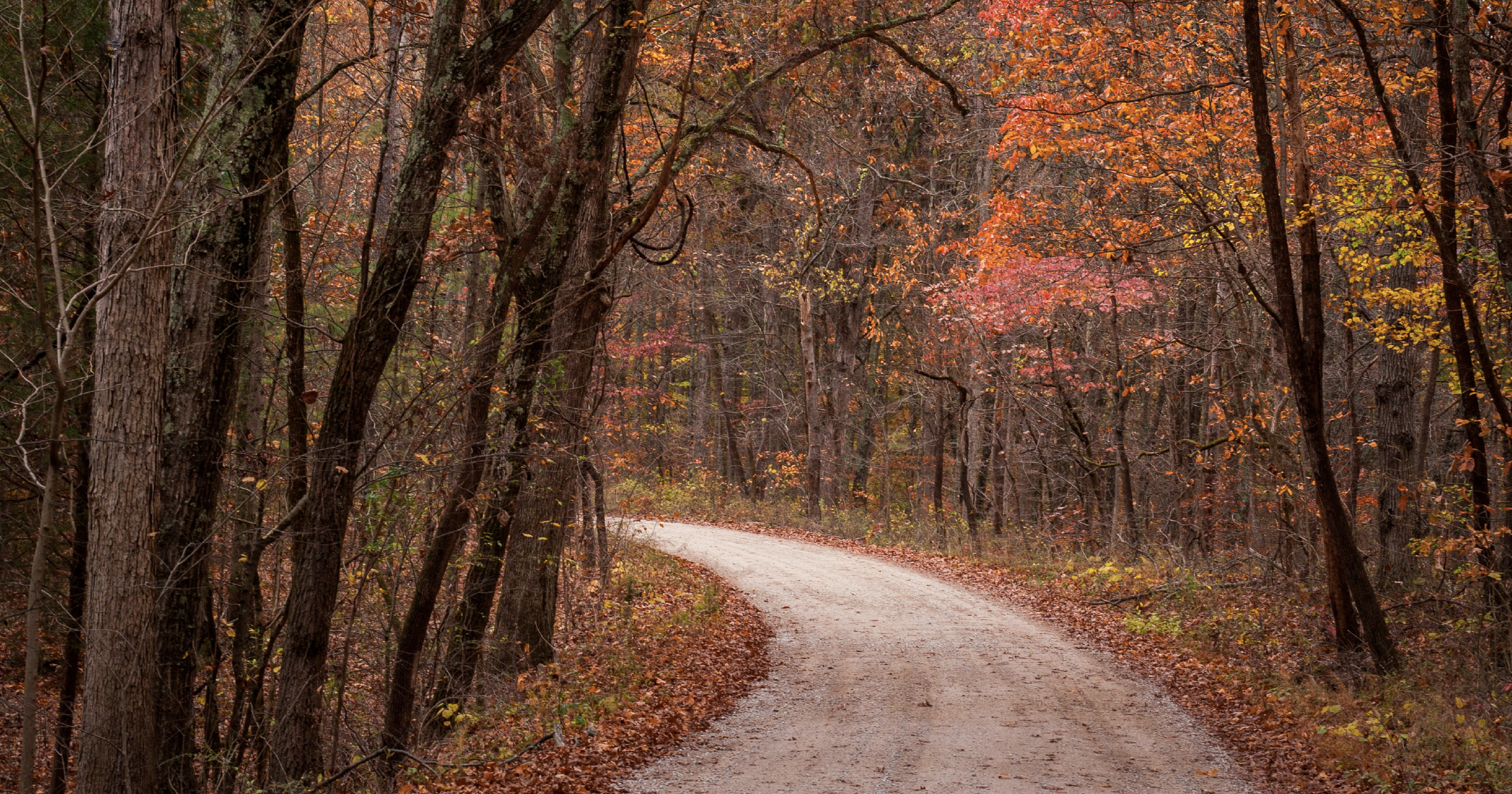Top Spots for Enjoying Fall Foliage