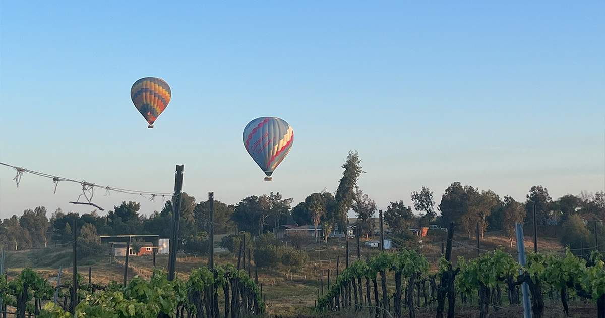 Flights & Bites in Temecula Valley