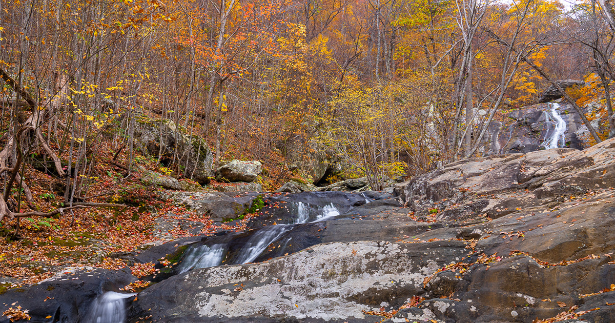 Explore These National Parks This Fall