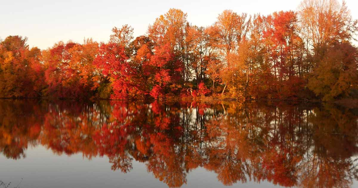 Fall Into Delaware's Outdoor Majesty