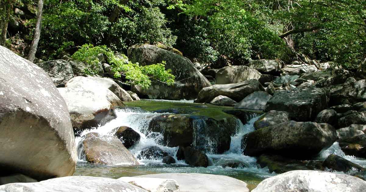 escape-to-these-national-parks-SmokyMountains
