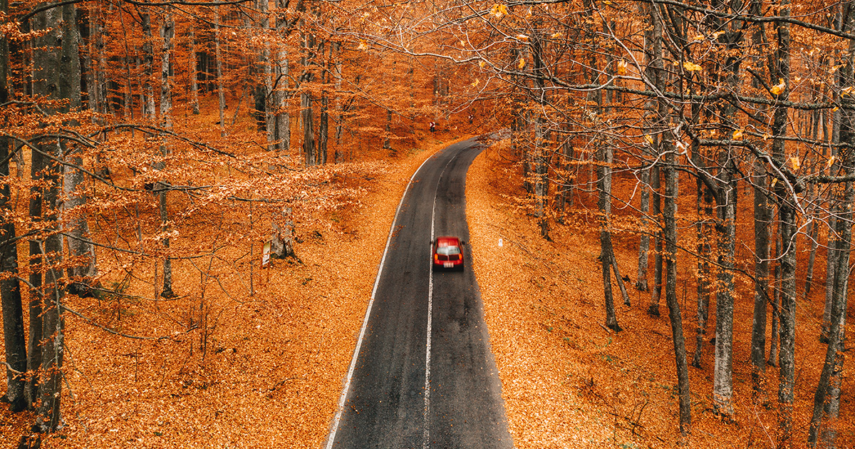 More Travelers Seeking Autumn Escapes