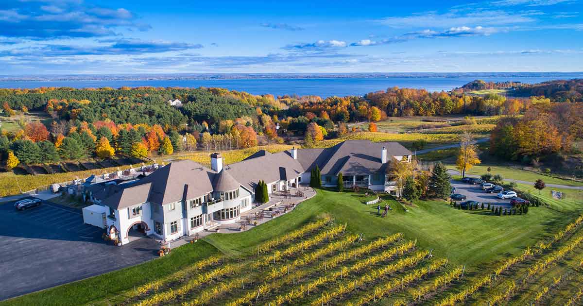 Top 5 Wineries to Visit This Fall