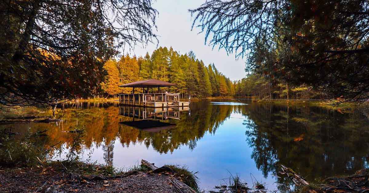 frolic-in-fall-foliage-KitchItiKipi