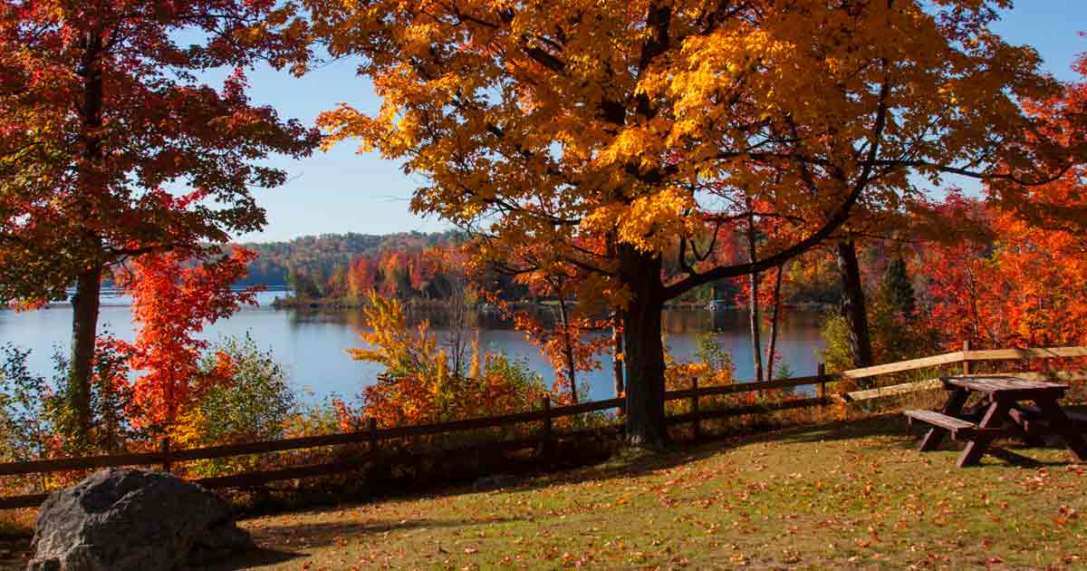 Frolic in Fall Foliage in Michigan’s Upper Peninsula