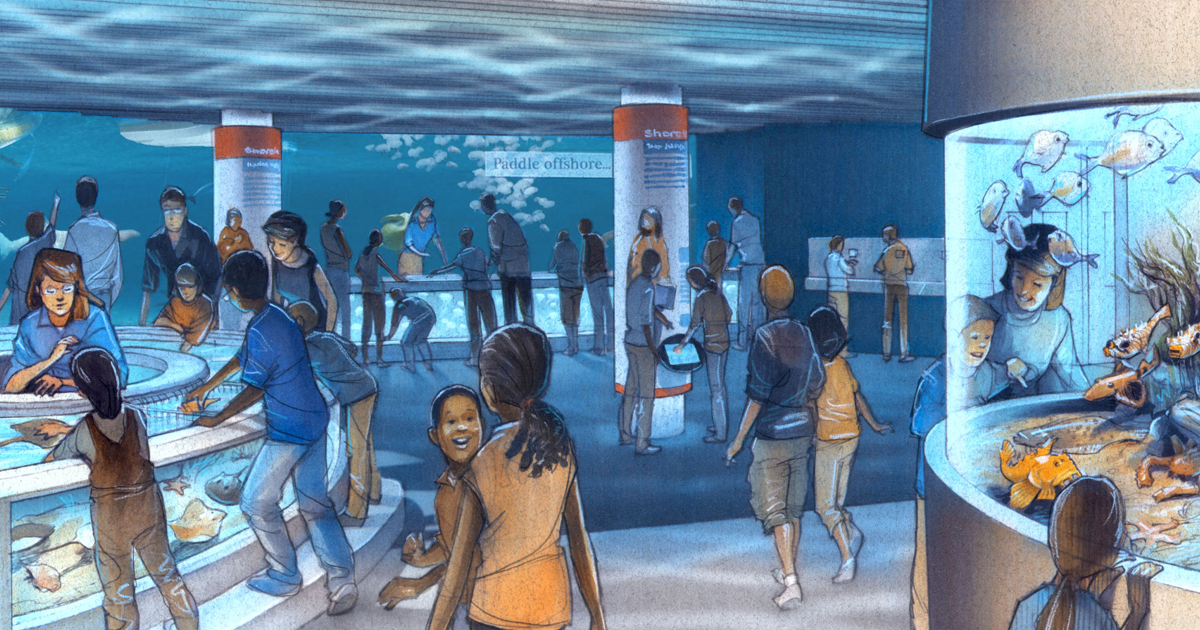 National Aquarium in Baltimore to Open Interactive Exhibit